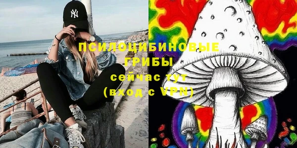 синтетический гашиш Богородицк