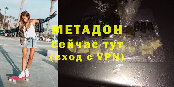 индика Бородино
