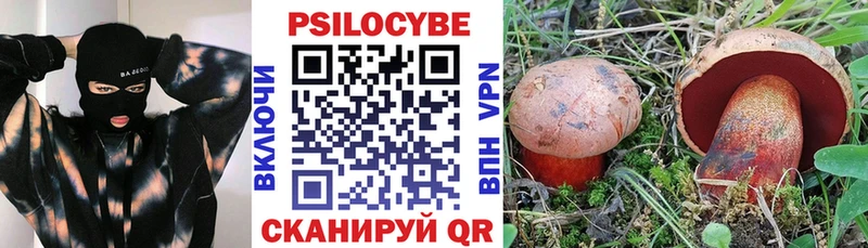 Купить где  Краснозаводск  Псилоцибиновые грибы прущие грибы 