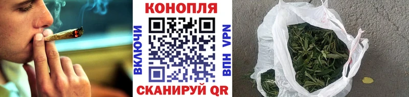 Купить где  Краснозаводск  Конопля план 